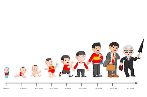 Human Life Cycle Flat Illustration Male And Female Growing Up And