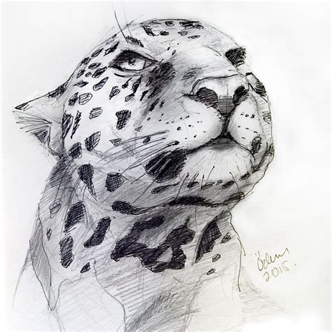 Jaguar Sketch Work Behance