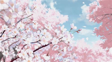 Android phone wallpaper gif cherry blossom. anime and so | Cenário anime, Ilustrações conceituais, Anime gifs