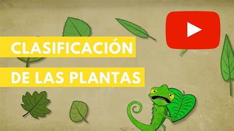 Actividades De Ciencias Naturales Reflexiones Sobre Educaci N Como