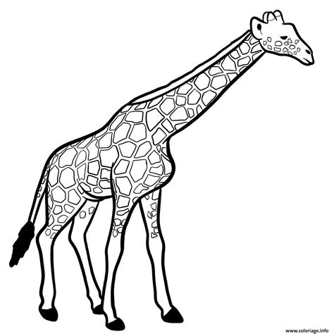 Coloriage Girafe Mammifere De La Savane Africaine