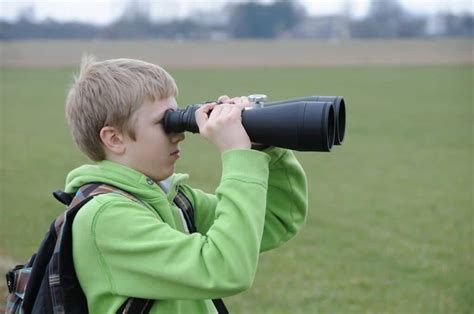 Everything You Need To Know About Bird Watching With Kids