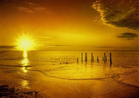 Golden Sunset Photograph By Photo Art By Mandy