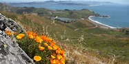 Hill 88 Hike | Golden Gate National Parks Conservancy