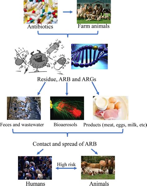 Frontiers A Review Of Current Bacterial Resistance To Antibiotics In