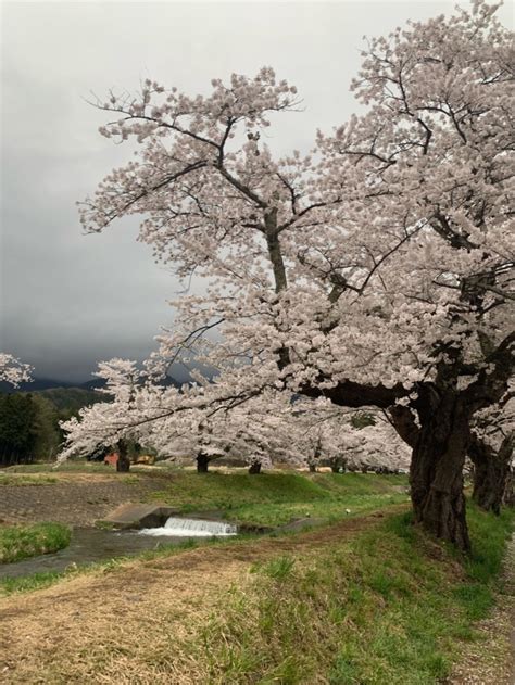 The site owner hides the web page description. 福島県でおすすめの『桜の名所』② | ファッション誌Marisol ...