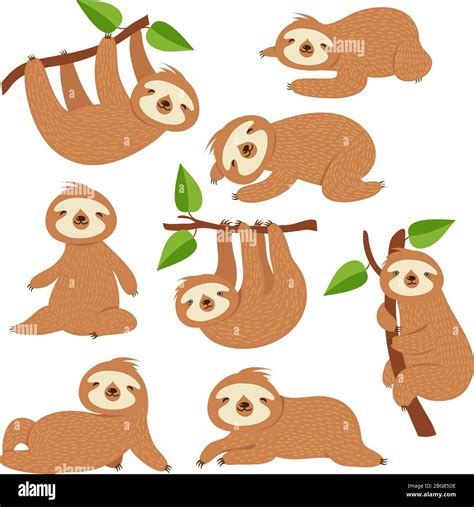 Cartoon Sloths Cute Sloth Hanging On Branch In Amazon Rainforest Lazy