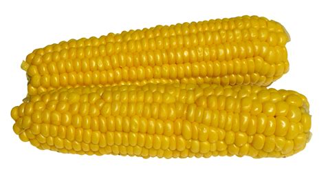 Sweet Corn Png Images Backgrounds Call Yellow Food Veggies Candy