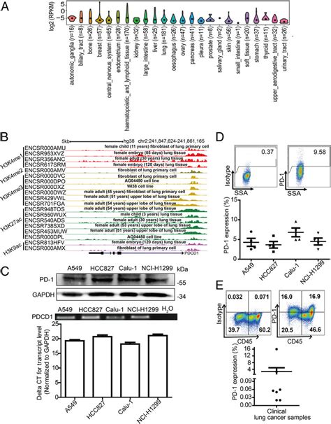 Pd 1 Expression By Tumor Cells A Violin Plots Showing The Expression