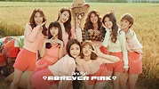 PINK FUN《FOREVER PINK》Official Music Video - YouTube