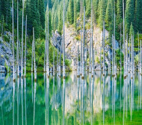 The Sunken Forest Of Lake Kaindy In Kazakhstan Roddlysatisfying