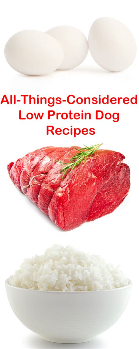See dog food mixes for more information on this and similar supplements. #fortheloveofpets | Dog recipes, Dog food recipes, Low ...