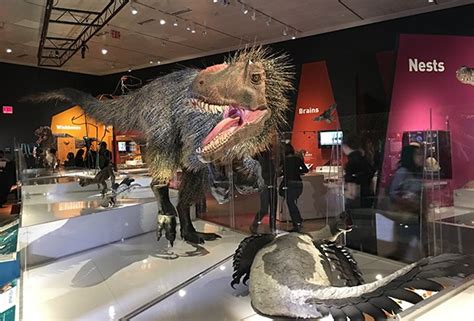 Feathered ‘dinosaurs Among Us Opens At Natural History Museum Mommy Poppins Things To Do In