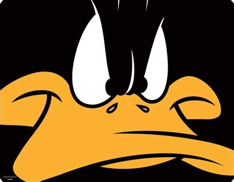 Daffy Duck Bing Daffy Duck Bunny Wallpaper Looney Tunes Cartoons