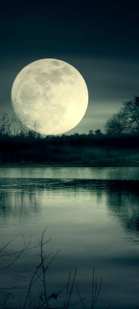 1080x2400 Full Moon Night Near Lake 1080x2400 Resolution
