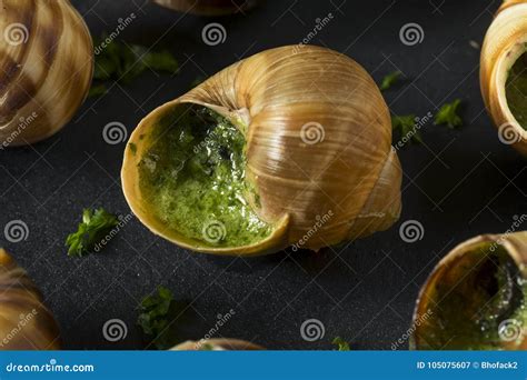 Fancy French Hot Escargot Appetizer Stock Image Image Of Dish