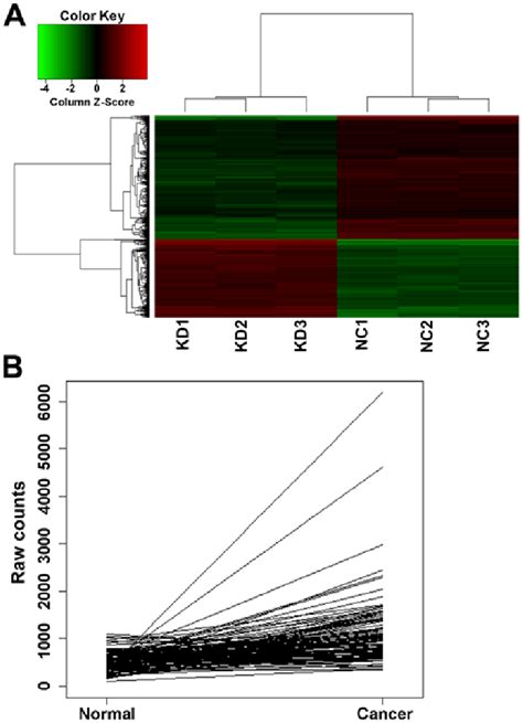 A Heatmap Of The Genechip Assay Knockdown Group Kd 1 2 And 3 Were