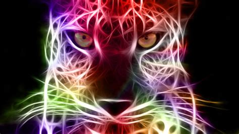 Cheetah Images Cool Cheetah Rainbow Edition Hd Wallpaper