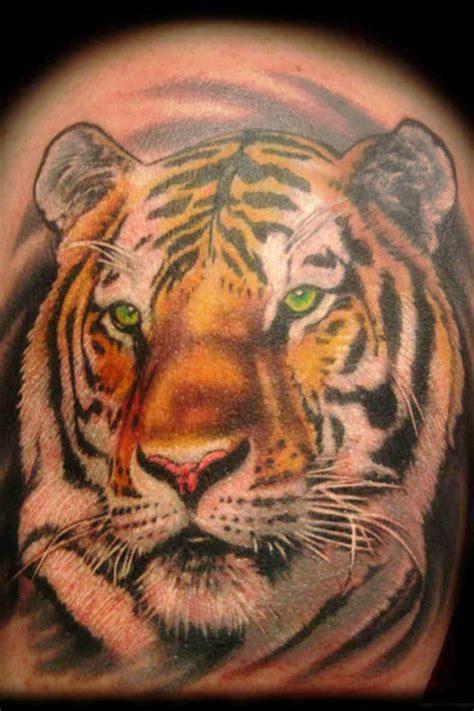 50 Popular Tiger Tattoos Collection With Meanings