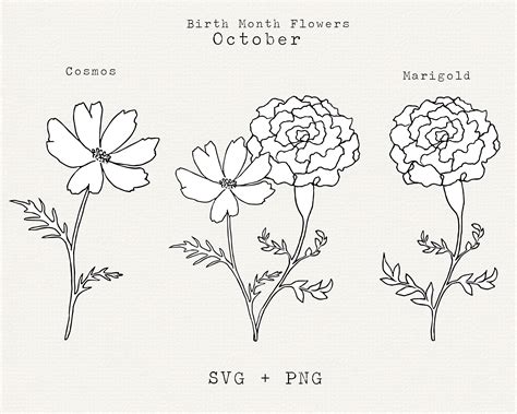 Marigold Flower SVG Cosmos Flower SVG October Birth Month - Etsy Australia