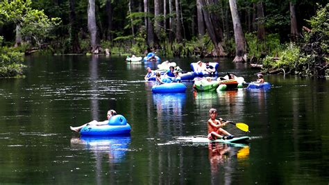 7 Gainesville Area Springs To Enjoy Year Round