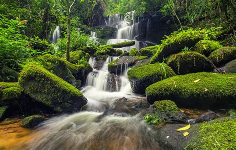 Wallpaper Forest River Stones Green Waterfall Moss Forest River