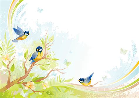 Bird Borders Illustrations Royalty Free Vector Graphics And Clip Art