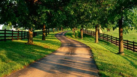 Country Road Wallpaper 1600x900 56654