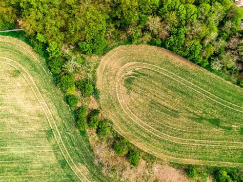 Aerial Drone View Of Field Trees And Forest In Agriculture Land Top