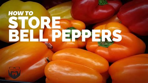 How To Store Peppers Detailed Guide Beezzly