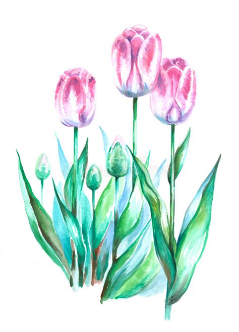 Tulips Flowers Stock Illustration Illustration Of Ornate 32642219