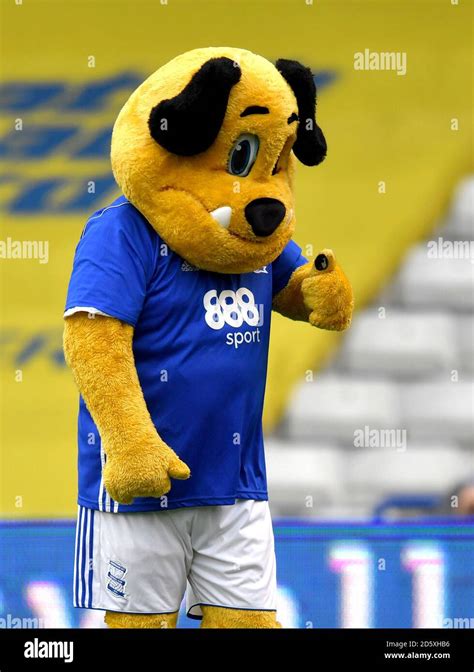 Beau Brummie Birmingham City Mascot Stock Photo Alamy