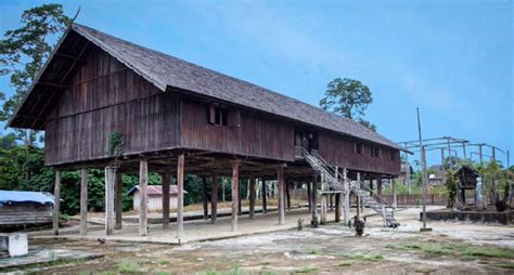 5 Rumah Adat Kalimantan Timur Asal Gambar And Penjelasan