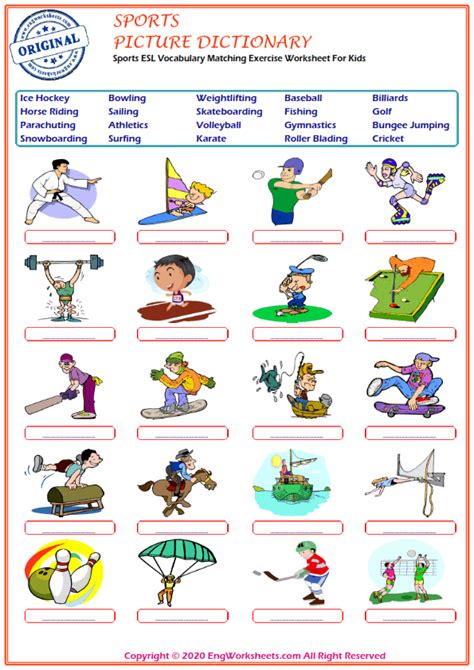 Sport Worksheet Pdf Worksheets For Kindergarten