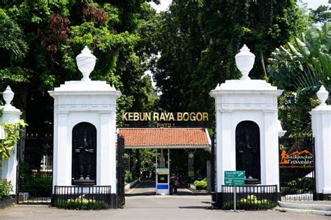 Alasan Harus Berwisata Ke Kebun Raya Bogor Izystay Booking Room Dan Meeting Room