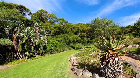 Kirstenbosch National Botanical Gardens In Cape Town Expedia