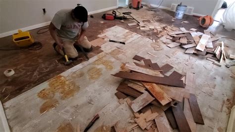 How To Remove Glue Down Wood Floor Removiendo Piso De Madera Pegada