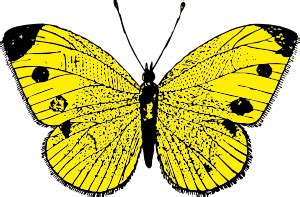 Yellow Butterfly clip art (107700) Free SVG Download / 4 Vector