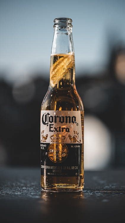 8000 Best Beer Bottle Photos · 100 Free Download · Pexels Stock Photos