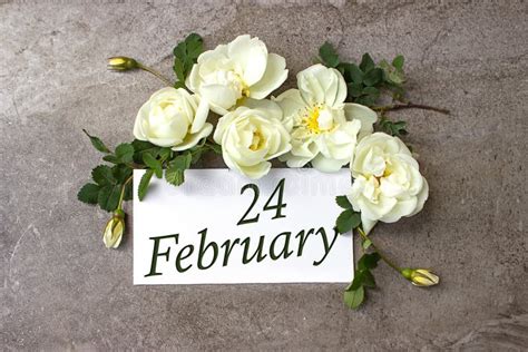 February 24th Day 24 Of Month Calendar Date Stock Image Image Of
