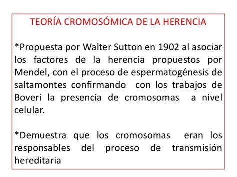 Clase Teoria Cromosomica De La Herencia