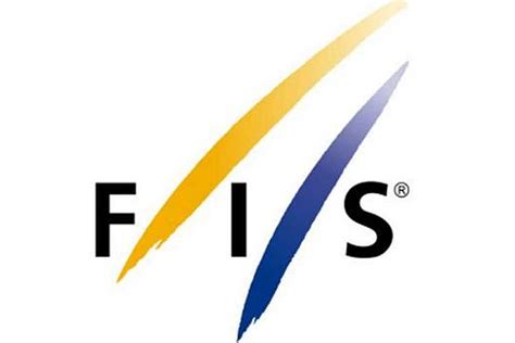 The Big Picture Fis Publishes Its Two Year Financial Report How Does