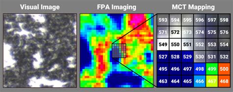 Ftir Mapping Vs Imaging Explaining The Differences Bruker Optics Blog