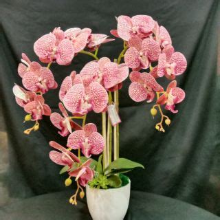 Nine11 segmen 39jom tutorial39 gubahan 3 tangkai orkid. Gubahan Bunga Orkid Latex 3D 3 Tangkai | Shopee Malaysia
