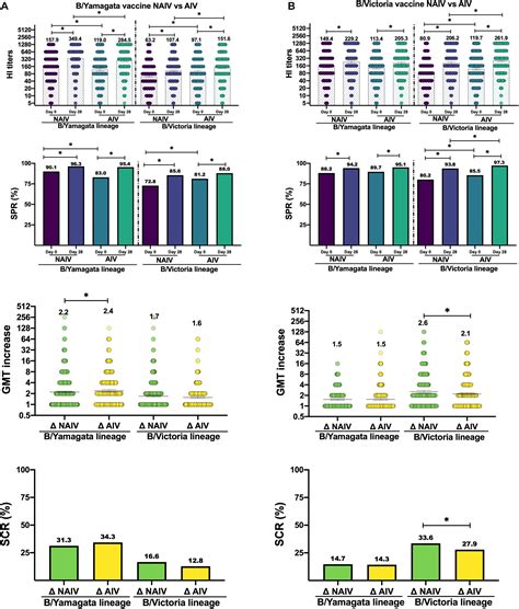 Frontiers Influenza B Lineages Have More In Common Than Meets The Eye