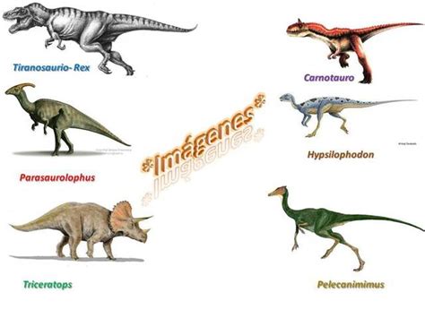 Los Dinosaurios Historia Y Tipos De Dinosaurios