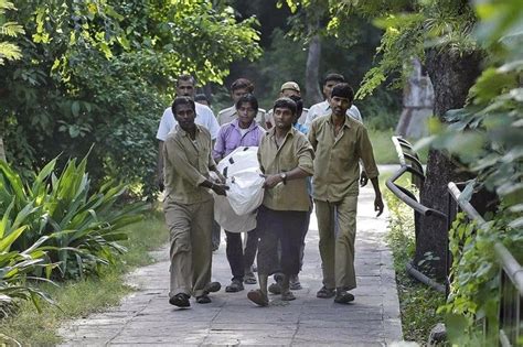 Majha India Delhi Zoo Incident White Tiger Killed Young Boy