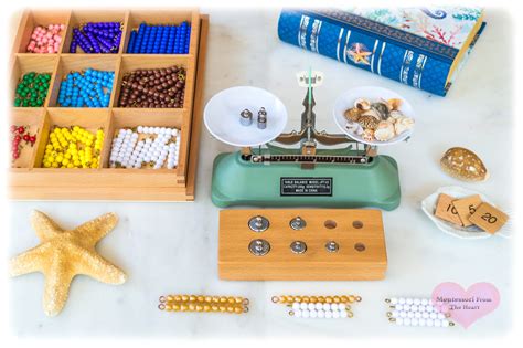 Seashells Montessori Stem Weighing Balance Scale