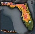 Florida Topography Map | Colorful Natural Physical Landscape