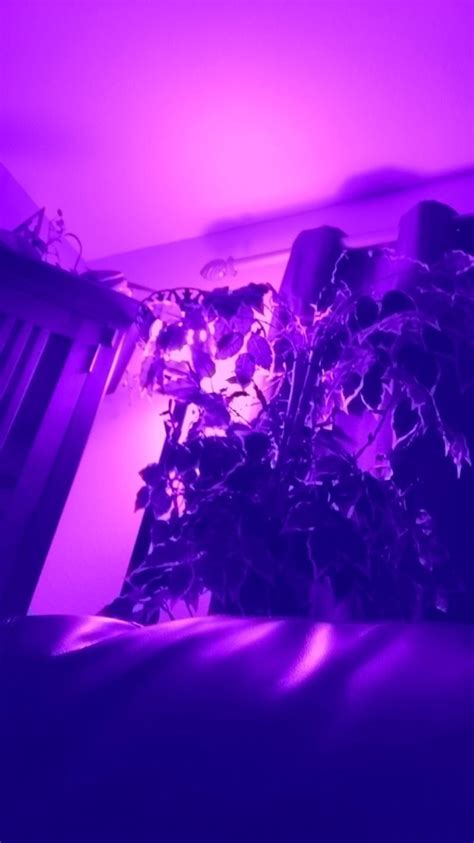Pinterest Purple Aesthetic Pictures Img Weed